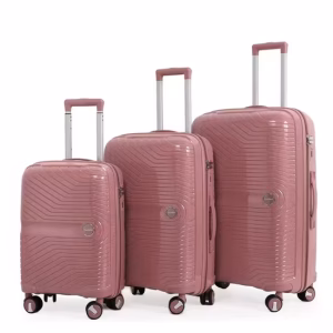 Luggage/Bags Dummy Product 2